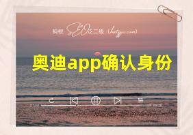 奥迪app确认身份