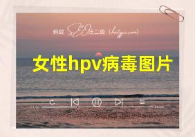 女性hpv病毒图片