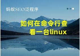 如何在命令行查看一台linux