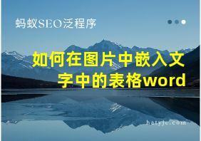 如何在图片中嵌入文字中的表格word