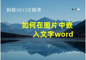 如何在图片中嵌入文字word