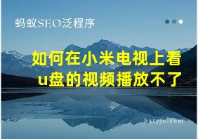 如何在小米电视上看u盘的视频播放不了