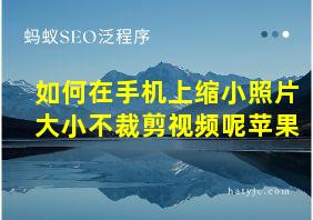 如何在手机上缩小照片大小不裁剪视频呢苹果