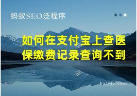 如何在支付宝上查医保缴费记录查询不到