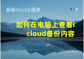 如何在电脑上查看icloud备份内容