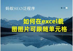 如何在excel截图图片可跟随单元格