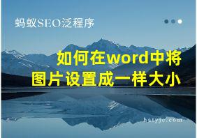 如何在word中将图片设置成一样大小