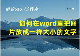 如何在word里把图片放成一样大小的文字