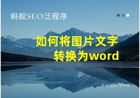 如何将图片文字转换为word