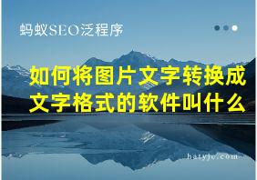 如何将图片文字转换成文字格式的软件叫什么