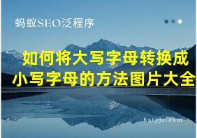 如何将大写字母转换成小写字母的方法图片大全