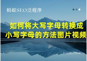 如何将大写字母转换成小写字母的方法图片视频