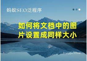 如何将文档中的图片设置成同样大小