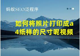 如何将照片打印成a4纸样的尺寸呢视频