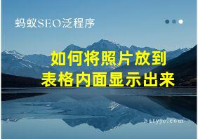 如何将照片放到表格内面显示出来