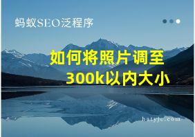 如何将照片调至300k以内大小