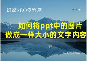 如何将ppt中的图片做成一样大小的文字内容