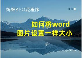 如何将word图片设置一样大小