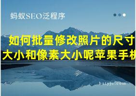 如何批量修改照片的尺寸大小和像素大小呢苹果手机