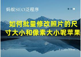 如何批量修改照片的尺寸大小和像素大小呢苹果