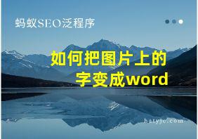 如何把图片上的字变成word