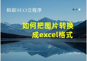 如何把图片转换成excel格式