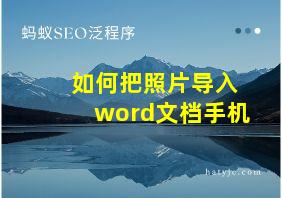 如何把照片导入word文档手机