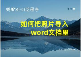 如何把照片导入word文档里