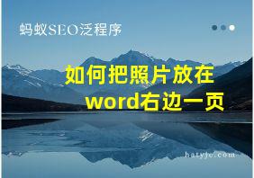 如何把照片放在word右边一页