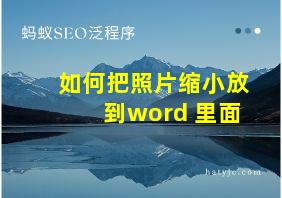 如何把照片缩小放到word 里面