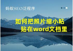 如何把照片缩小粘贴在word文档里