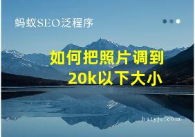 如何把照片调到20k以下大小