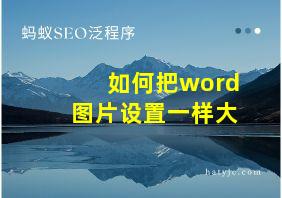 如何把word图片设置一样大