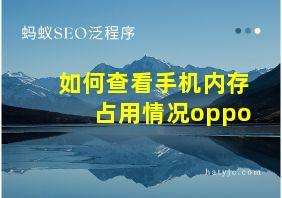 如何查看手机内存占用情况oppo