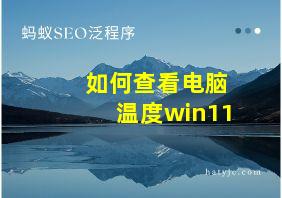 如何查看电脑温度win11