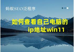 如何查看自己电脑的ip地址win11