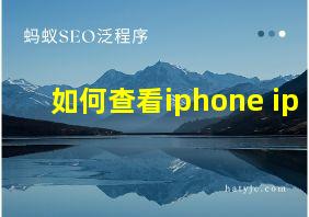 如何查看iphone ip