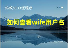 如何查看wife用户名