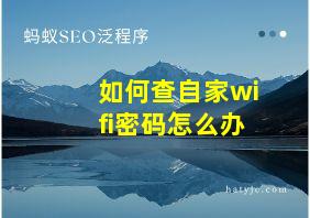 如何查自家wifi密码怎么办