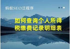 如何查询个人所得税缴费记录明细表