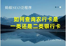 如何查询农行卡是一类还是二类银行卡