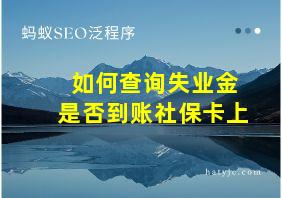 如何查询失业金是否到账社保卡上