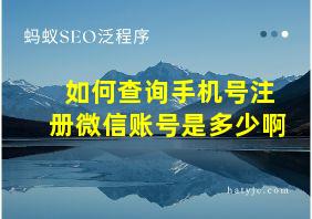 如何查询手机号注册微信账号是多少啊