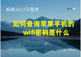 如何查询苹果手机的wifi密码是什么