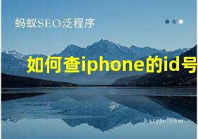 如何查iphone的id号