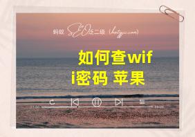 如何查wifi密码 苹果