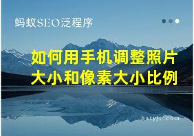 如何用手机调整照片大小和像素大小比例