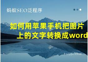 如何用苹果手机把图片上的文字转换成word