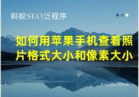 如何用苹果手机查看照片格式大小和像素大小