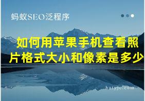 如何用苹果手机查看照片格式大小和像素是多少